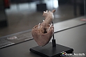 VBS_2883 - Mostra Body Worlds